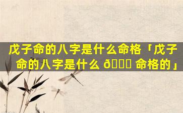 戊子命的八字是什么命格「戊子命的八字是什么 💐 命格的」